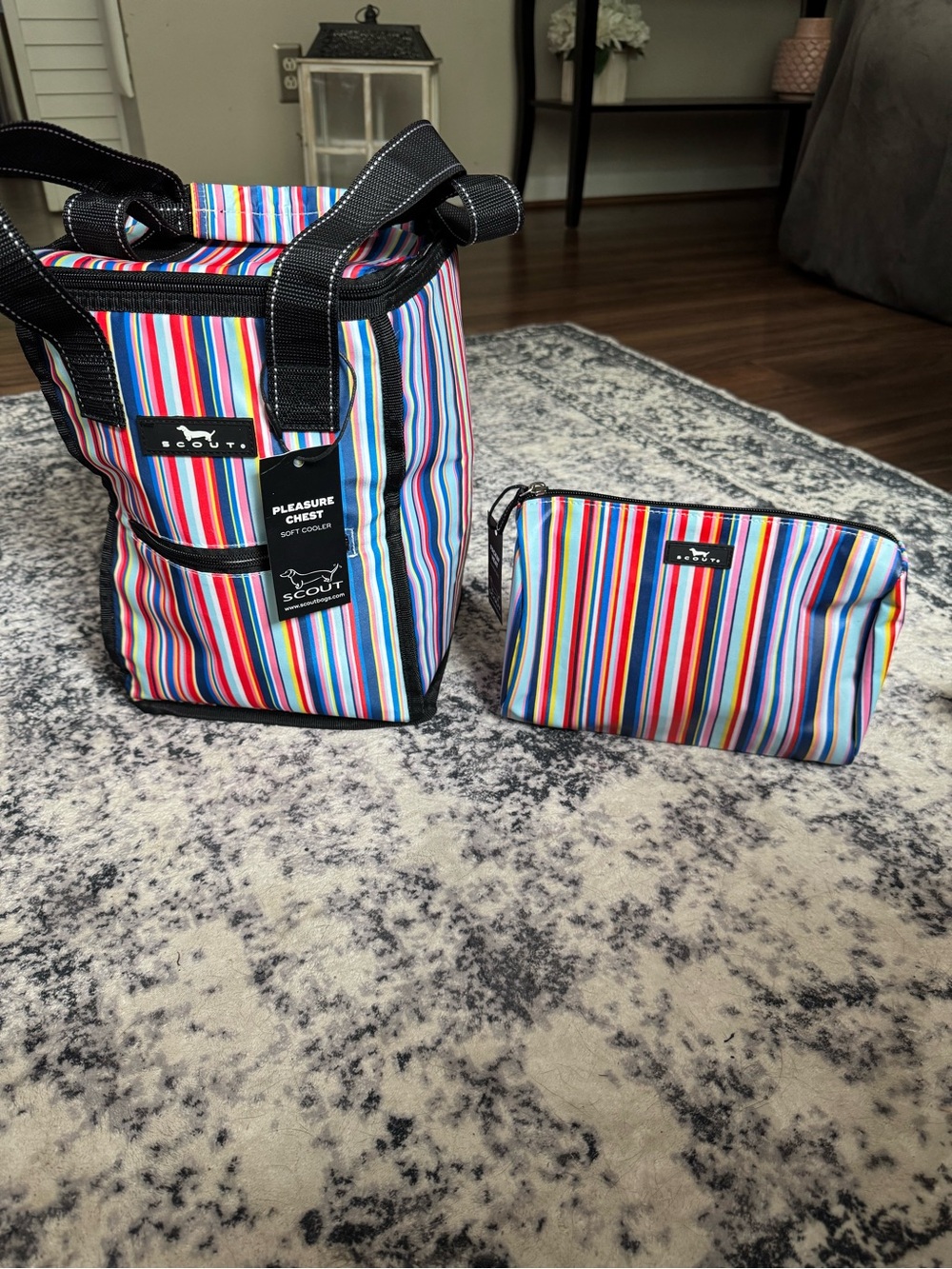 Scout Multicolor Vertical Stripe Cooler Tote with Matching Pouch